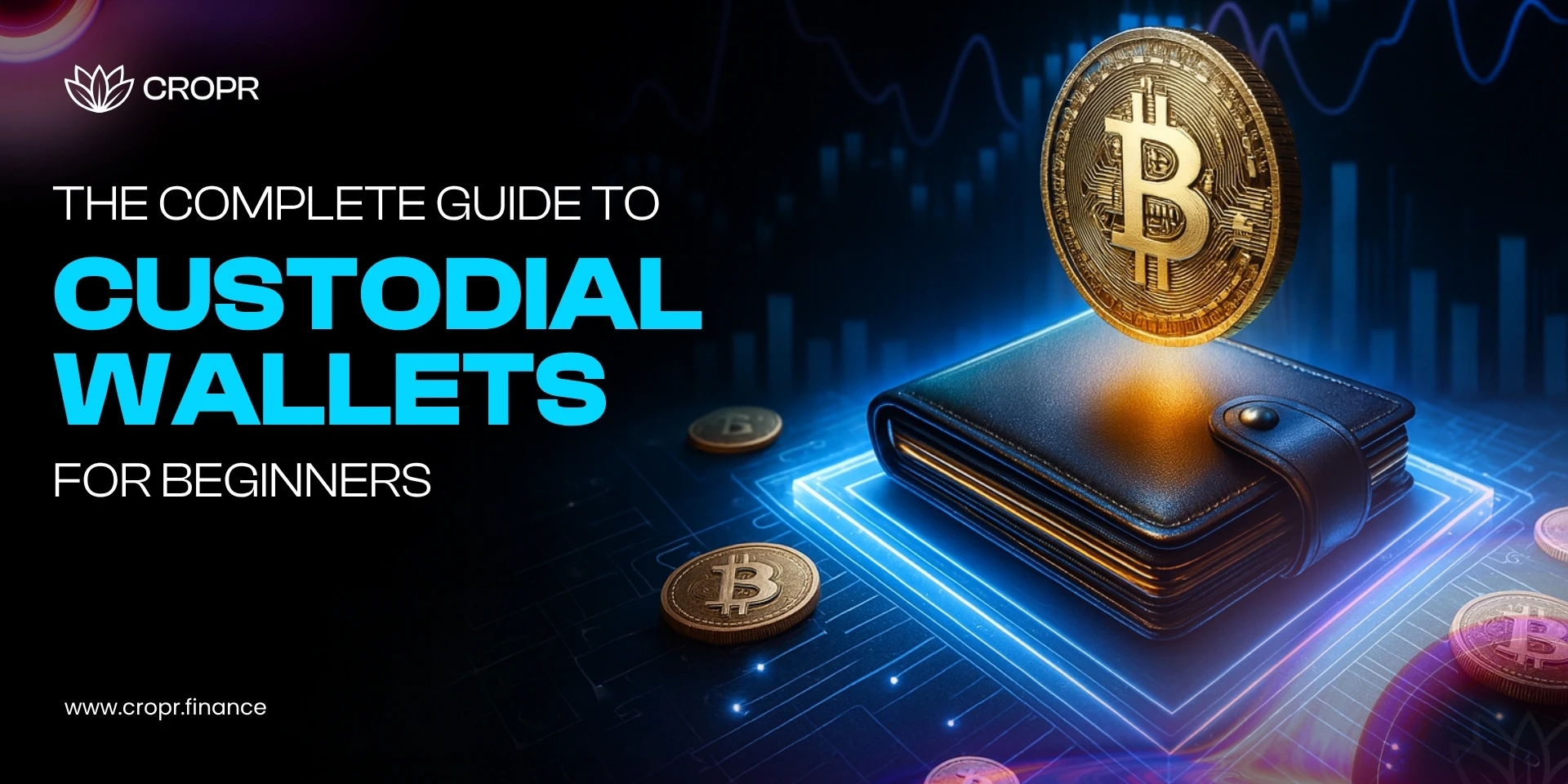 Custodial Wallets Guide